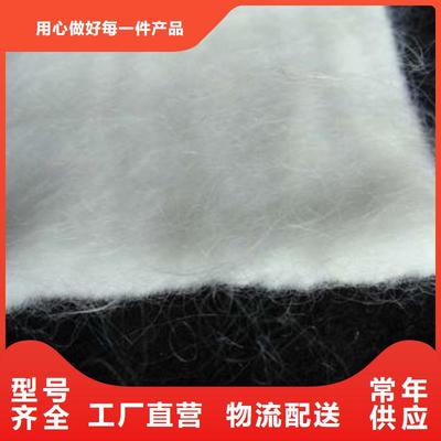 長絲復(fù)合土工布 現(xiàn)代工程中的多功能防護衛(wèi)士